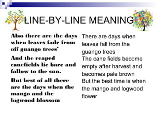LINE-BY-LINE MEANING
Also there are the days There are days when
when leaves fade from leaves fall from the
off guango trees’
                        guango trees
And the reaped          The cane fields become
canefields lie bare and empty after harvest and
fallow to the sun.
                        becomes pale brown
But best of all there   But the best time is when
are the days when the the mango and logwood
mango and the
                        flower
logwood blossom
 