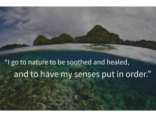“I go to nature to be soothed and healed,
and to have my senses put in order.”
 