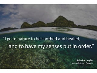 “I go to nature to be soothed and healed,
and to have my senses put in order.”
John Burroughs,
Naturalist and Essayist
 