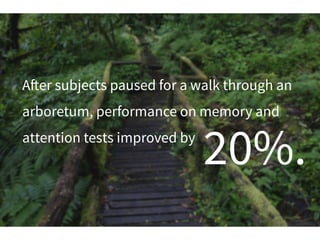 A!er subjects paused for a walk through an
arboretum, performance on memory and
attention tests improved by
20%.
 