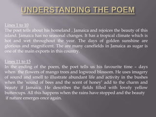 Lines 1 to 10
The poet tells about his homeland , Jamaica and rejoices the beauty of this
island. Jamaica has no seasonal changes. It has a tropical climate which is
hot and wet throughout the year. The days of golden sunshine are
glorious and magnificent. The are many canefields in Jamaica as sugar is
one of the main exports in this country.
Lines 11 to 15
In the ending of the poem, the poet tells us his favourite time – days
when the flowers of mango trees and logwood blossom. He uses imagery
of sound and smell to illustrate abundant life and activity in the bushes
when the ‘sound of bees and the scent of honey’ add to the charm and
beauty if Jamaica. He describes the fields filled with lovely yellow
buttercups. All this happens when the rains have stopped and the beauty
if nature emerges once again.
 