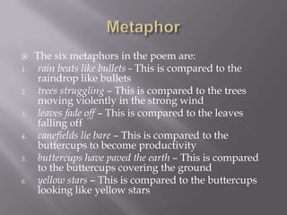  The six metaphors in the poem are:
1. rain beats like bullets - This is compared to the
raindrop like bullets
2. trees struggling – This is compared to the trees
moving violently in the strong wind
3. leaves fade off – This is compared to the leaves
falling off
4. canefields lie bare – This is compared to the
buttercups to become productivity
5. buttercups have paved the earth – This is compared
to the buttercups covering the ground
6. yellow stars – This is compared to the buttercups
looking like yellow stars
 