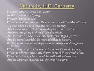 We have neither Summer nor Winter
Neither Autumn nor Spring.
We have instead the days
When the gold sun shines on the lush green canefields-Magnificently.
The days when the rain beats like bullet on the roofs
And there is no sound but thee swish of water in the gullies
And trees struggling in the high Jamaica winds.
Also there are the days when leaves fade from off guango trees’
And the reaped canefields lie bare and fallow to the sun.
But best of all there are the days when the mango and the logwood
blossom
When bushes are full of the sound of bees and the scent of honey,
When the tall grass sways and shivers to the slightest breath of air,
When the buttercups have paved the earth with yellow stars
And beauty comes suddenly and the rains have gone
 