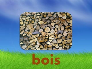 bois
 
