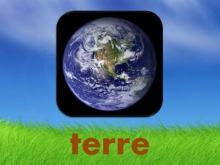 terre
 