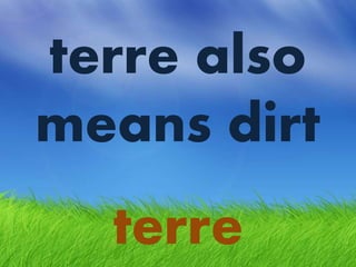 terre
terre also
means dirt
 