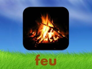 feu
 