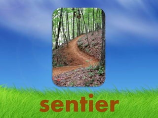 sentier
 