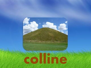 colline
 