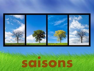 saisons
 