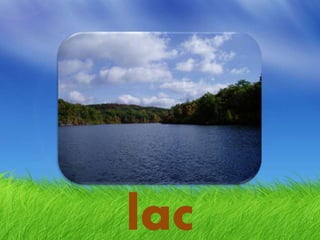 lac
 