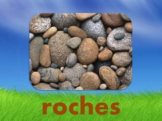 roches
 