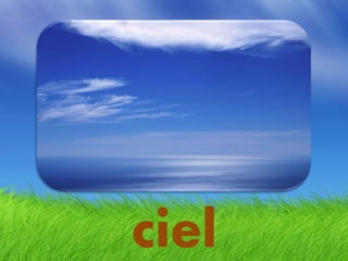 ciel
 