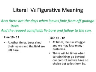 Literal Vs Figurative Meaning
Line 10 - 12
• At other times, trees shed
their leaves and the field are
left bare.
Line 10 - 12
• At times, life is a struggle
and we may face many
problems.
• There will be times when
certain things go beyond
our control and we have no
choice but to let them be.
Also there are the days when leaves fade from off guango
trees
And the reaped canefields lie bare and fallow to the sun.
 