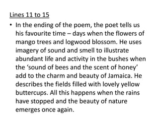 Lines 11 to 15
• In the ending of the poem, the poet tells us
his favourite time – days when the flowers of
mango trees and logwood blossom. He uses
imagery of sound and smell to illustrate
abundant life and activity in the bushes when
the ‘sound of bees and the scent of honey’
add to the charm and beauty of Jamaica. He
describes the fields filled with lovely yellow
buttercups. All this happens when the rains
have stopped and the beauty of nature
emerges once again.
 