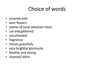 Choice of words
• covered with
• bear flowers
• names of local Jamaican trees
• cut and gathered
• uncultivated
• fragrance
• moves gracefully
• very brightly/ gloriously
• healthy and strong
• channel/ ditch
 