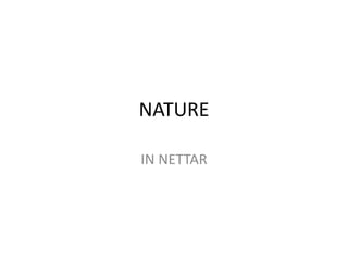 NATURE
IN NETTAR
 