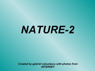 NATURE-2 Created by gabriel voiculescu with photos from INTERNET 
