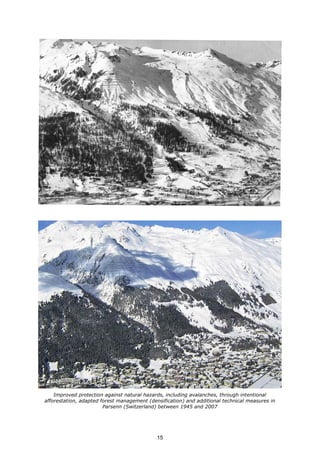 Improved protection against natural hazards, including avalanches, through intentional
afforestation, adapted forest management (densification) and additional technical measures in
Parsenn (Switzerland) between 1945 and 2007
15
 