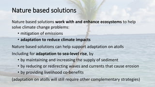 Nature-based solutions for adaptation on atolls | Prof. Jon Barnett ...