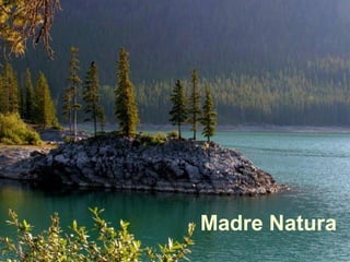 Madre Natura
 