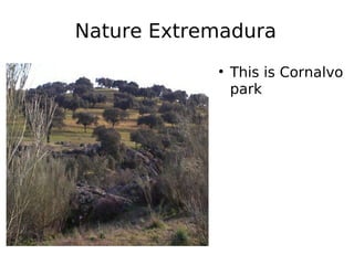 Nature Extremadura ,[object Object]