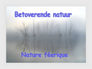 Betoverende natuur Nature féerique 