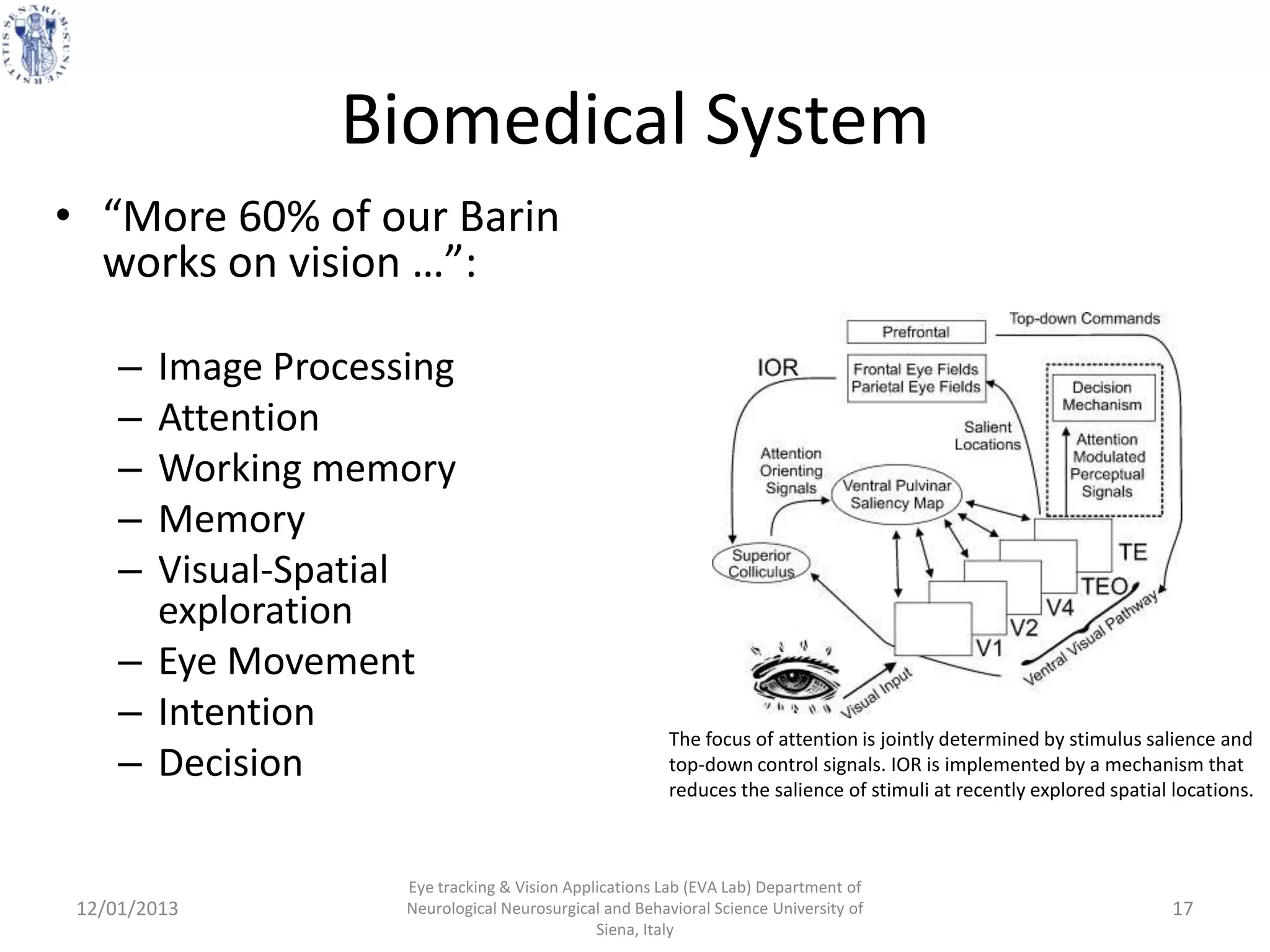 Biomedical System
• “More 60% of our Barin
  works on vision …”:

     – Image Processing
     – Attention
     – Working memory
     – Memory
     – Visual-Spatial
       exploration
     – Eye Movement
     – Intention                                        The focus of attention is jointly determined by stimulus salience and
     – Decision                                         top-down control signals. IOR is implemented by a mechanism that
                                                        reduces the salience of stimuli at recently explored spatial locations.



                    Eye tracking & Vision Applications Lab (EVA Lab) Department of
 12/01/2013         Neurological Neurosurgical and Behavioral Science University of                                  17
                                              Siena, Italy
 