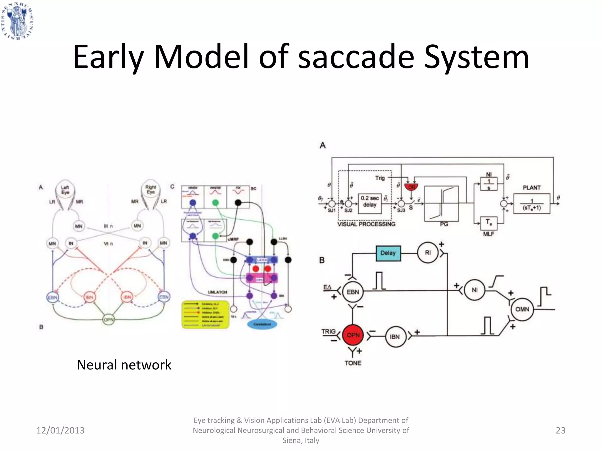 Early Model of saccade System




        Neural network


                         Eye tracking & Vision Applications Lab (EVA Lab) Department of
12/01/2013               Neurological Neurosurgical and Behavioral Science University of   23
                                                   Siena, Italy
 