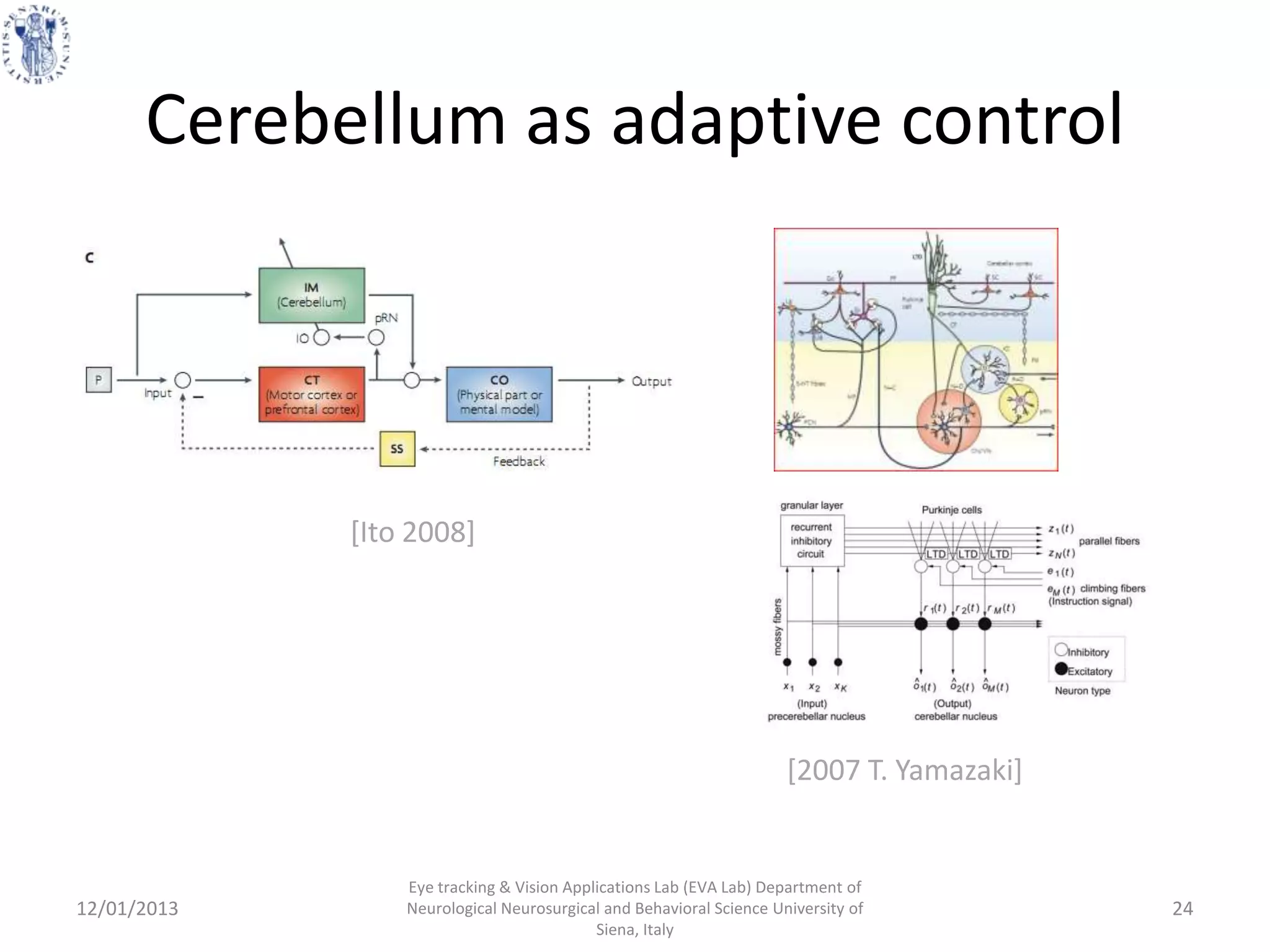 Cerebellum as adaptive control




             [Ito 2008]




                                                                     [2007 T. Yamazaki]


                 Eye tracking & Vision Applications Lab (EVA Lab) Department of
12/01/2013       Neurological Neurosurgical and Behavioral Science University of          24
                                           Siena, Italy
 