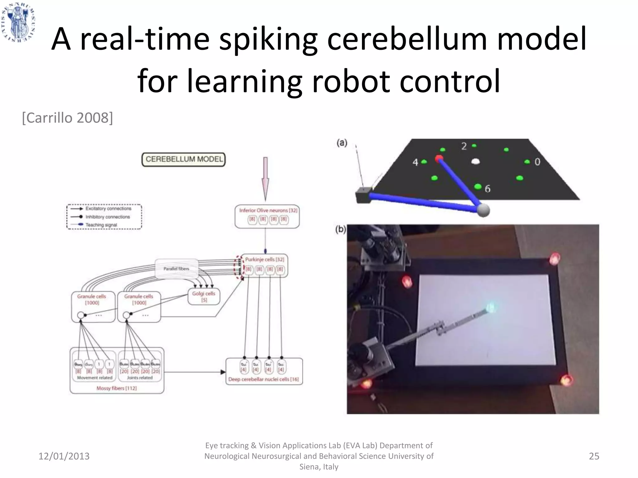 A real-time spiking cerebellum model
          for learning robot control
[Carrillo 2008]




                  Eye tracking & Vision Applications Lab (EVA Lab) Department of
  12/01/2013      Neurological Neurosurgical and Behavioral Science University of   25
                                            Siena, Italy
 