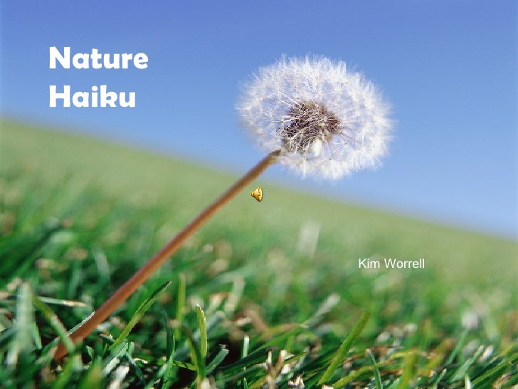 Nature Haiku