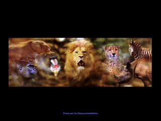 Press esc to close presentation. 