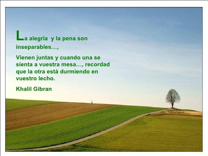 Nature Naturaleza blog.agirregabiria.net Mikel Agirregabiria