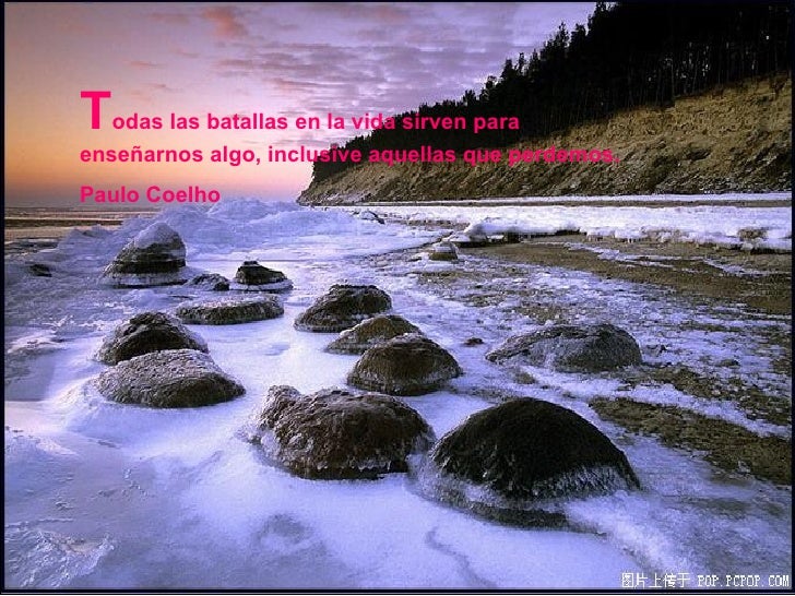 Nature Naturaleza blog.agirregabiria.net Mikel Agirregabiria