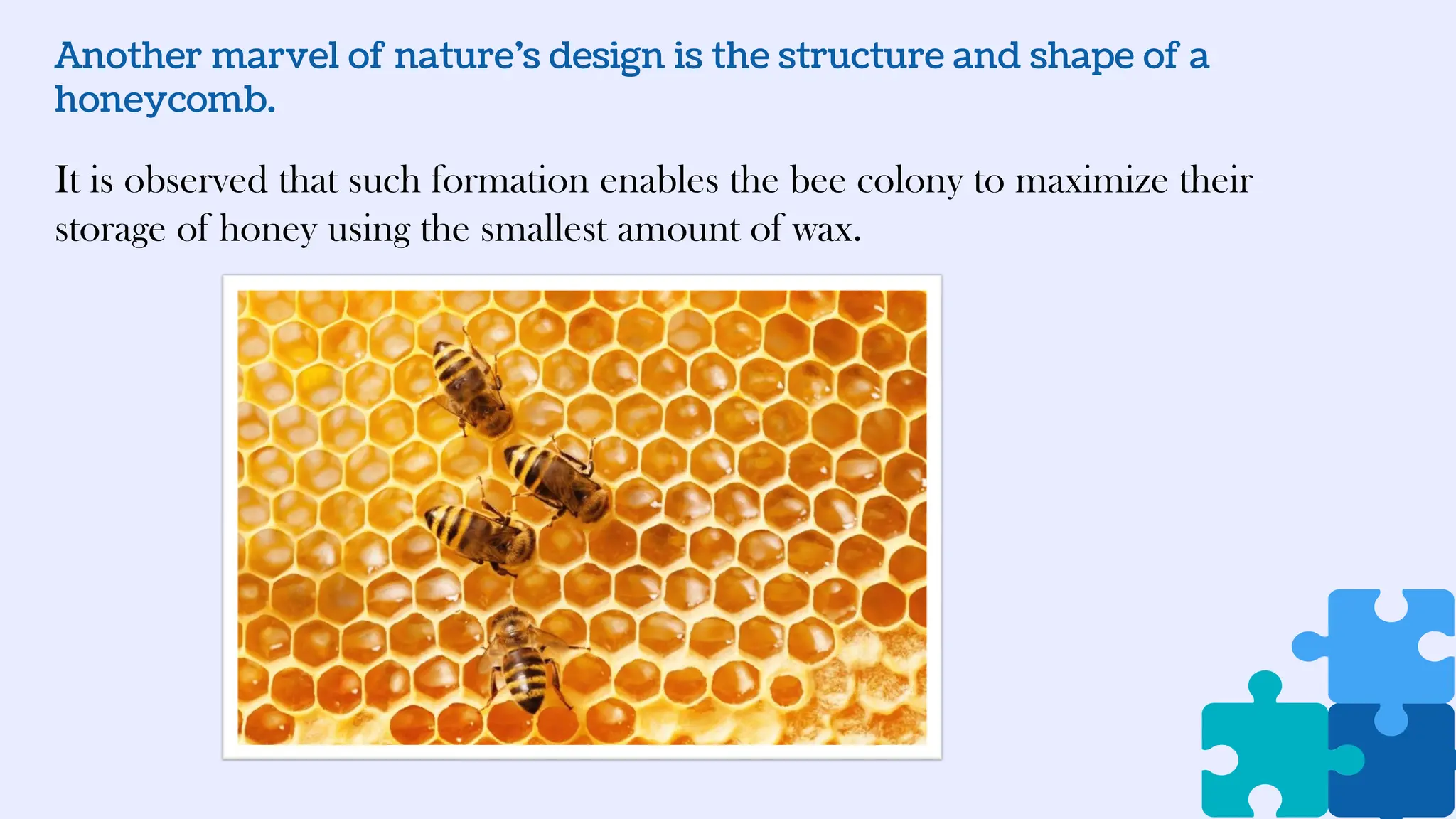 Another marvel of nature’s design is the structure and shape of a
honeycomb.
It is observed that such formation enables the bee colony to maximize their
storage of honey using the smallest amount of wax.
 