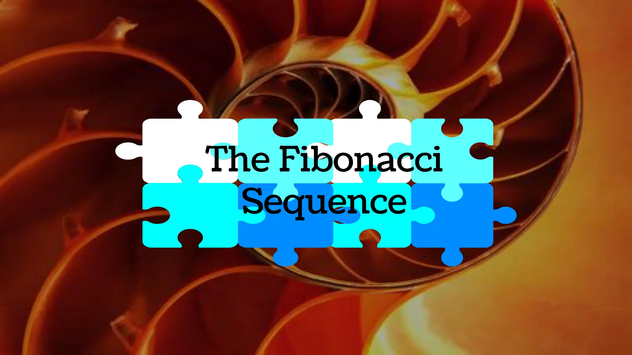 The Fibonacci
Sequence
 