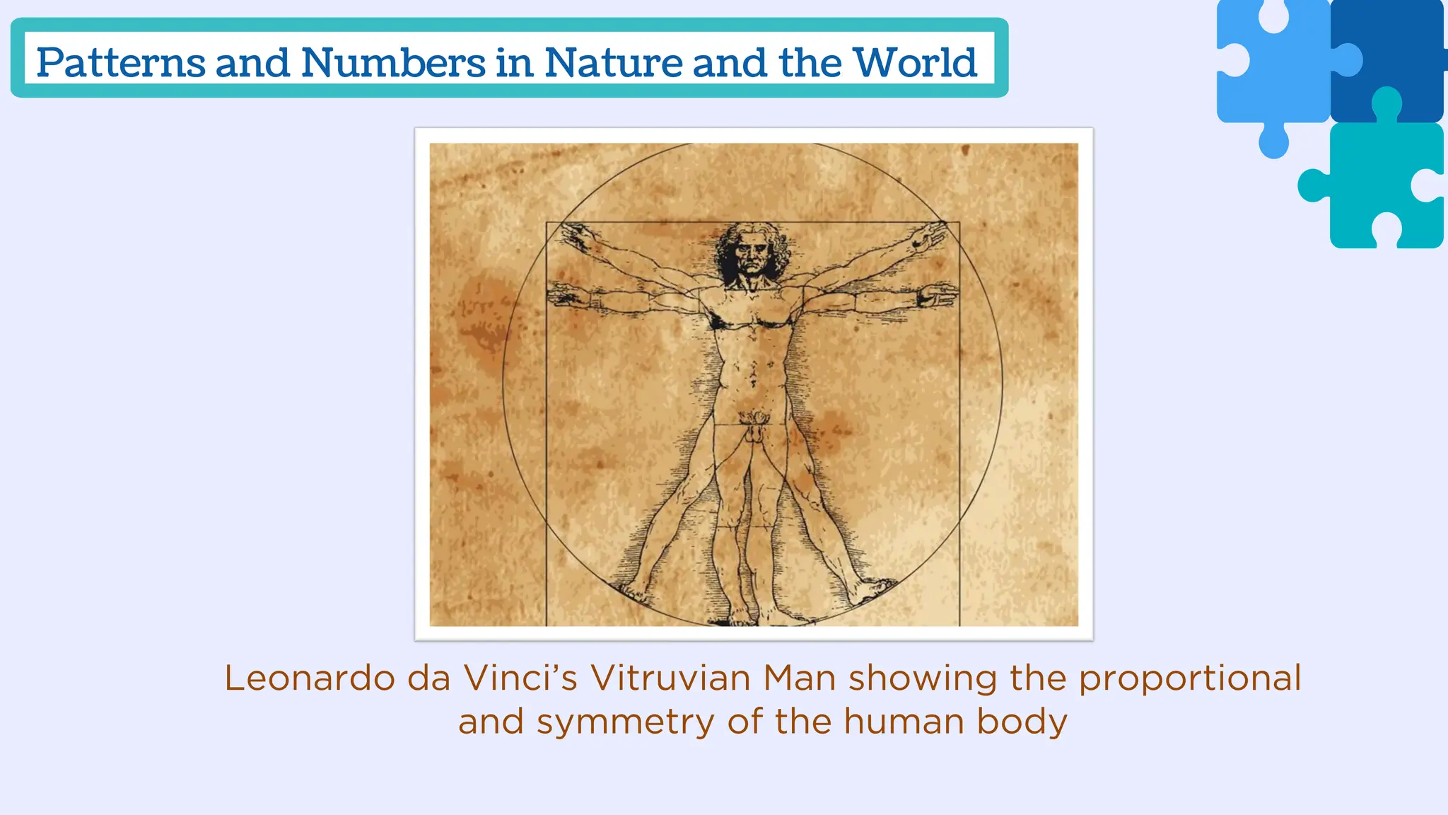 Leonardo da Vinci’s Vitruvian Man showing the proportional
and symmetry of the human body
Patterns and Numbers in Nature and the World
 