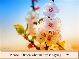 Please… listen what nature is saying….!!! 