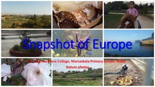 Snapshot of Europe
St. Thomas More College, Marsaskala Primary School, Malta
Nature photos
 