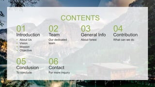NATURE INSPIRED POWERPOINT PRESENTATION! | PPTX