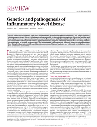 REVIEW                                                                                                                                                       doi:10.1038/nature10209




Genetics and pathogenesis of
inflammatory bowel disease
Bernard Khor1,2,3*, Agnès Gardet1,2* & Ramnik J. Xavier1,2,4



    Recent advances have provided substantial insight into the maintenance of mucosal immunity and the pathogenesis
    of inflammatory bowel disease. Cellular programs responsible for intestinal homeostasis use diverse intracellular and
    intercellular networks to promote immune tolerance, inflammation or epithelial restitution. Complex interfaces integrate
    local host and microbial signals to activate appropriate effector programs selectively and even drive plasticity between
    these programs. In addition, genetic studies and mouse models have emphasized the role of genetic predispositions and
    how they affect interactions with microbial and environmental factors, leading to pro-colitogenic perturbations of the
    host–commensal relationship.




I
    nflammatory bowel disease (IBD) comprises the chronic relapsing                              cohorts of the same ethnicity is probably due to the concomitant
    inflammatory disorders Crohn’s disease and ulcerative colitis. Family                        aggregation of both genetic and environmental factors in the case-
    history is a risk factor for developing IBD, with a peak incidence in                        control studies4. Smoking is an example of a disease-specific modifier
early adult life, although individuals of any age can be affected. IBD is                        that seems to exacerbate Crohn’s disease while being protective
thought to result from an inappropriate and continuing inflammatory                              against ulcerative colitis. Evidence suggests that smoking impairs
response to commensal microbes in a genetically susceptible host.                                autophagy, a process thought to be involved especially in Crohn’s
Recent progress in understanding IBD pathobiology offers insight                                 disease, demonstrating how exposure to a disease modifier in a
into relevant disease mechanisms in mucosal immunity, including                                  genetically predisposed individual may mechanistically affect IBD
how genetic factors interact with microbial and environmental cues                               development5.
within tissue-specific contexts, the biological checkpoints involved, the                          In this Review, we provide an overview of genes and susceptibility
selective decisions made during the course of disease and how plasticity                         loci implicated in IBD by GWAS and other genetic studies. Candidate
of the biological response results in the capacity for different phenotypes.                     genes are discussed in the context of IBD-relevant pathways, as well as
   Ulcerative colitis is characterized by inflammation that is limited to                        how these molecular pathways interact with environmental factors to
the colon: it begins in the rectum, spreads proximally in a continuous                           modulate intestinal homeostasis.
fashion and frequently involves the periappendiceal region. By
contrast, Crohn’s disease involves any part of the gastrointestinal tract                        Genes and pathways in IBD
— most commonly the terminal ileum or the perianal region — in a                                 International collaborative research groups focusing on an unbiased
non-continuous fashion and, unlike ulcerative colitis, is commonly                               appraisal of the human genome have been particularly successful in
associated with complications such as strictures, abscesses and fistulas.                        identifying genes and genetic loci that contribute to IBD susceptibility1,2.
Histologically, ulcerative colitis shows superficial inflammatory                                Despite distinct clinical features, approximately 30% of IBD-related
changes limited to the mucosa and submucosa with cryptitis and crypt                             genetic loci are shared between ulcerative colitis and Crohn’s disease,
abscesses. The microscopic features of Crohn’s disease include thickened                         indicating that these diseases engage common pathways and may be
submucosa, transmural inflammation, fissuring ulceration and non-                                part of a mechanistic continuum (Fig. 1).
caseating granulomas.                                                                               Analyses of the genes and genetic loci implicated in IBD show several
   Among complex diseases, genome-wide association studies                                       pathways that are crucial for intestinal homeostasis, including barrier
(GWAS) have been successful in IBD, identifying 99 non-overlapping                               function, epithelial restitution, microbial defence, innate immune
genetic risk loci, including 28 that are shared between Crohn’s disease                          regulation, reactive oxygen species (ROS) generation, autophagy,
and ulcerative colitis1,2 (Fig. 1). The genes implicated in childhood-                           regulation of adaptive immunity, endoplasmic reticulum (ER) stress and
onset and adult-onset IBD overlap, suggesting similar contributory                               metabolic pathways associated with cellular homeostasis (Fig. 2). Early
genetic predispositions and pathophysiological pathways. Adding to                               studies have suggested the existence of both protective and predisposing
the complexity of understanding disease mechanisms, a susceptibility                             alleles6. Disease-relevant biological pathways are further highlighted
allele often requires other genetic and non-genetic cues to manifest                             when several components are implicated as risk factors together (Fig. 3).
disease. The concordance rate in monozygotic twins of 10–15% in                                     Multidisease comparative analysis can uncover common disease-
ulcerative colitis compared with 30–35% in Crohn’s disease suggests                              causing genes and pathways. More than 50% of IBD susceptibility loci
that non-genetic factors may have an even more important role in                                 have also been associated with other inflammatory and autoimmune
ulcerative colitis than in Crohn’s disease3. Furthermore, the higher                             diseases. These overlapping genes can have contrasting effects in
penetrance of common Crohn’s-disease-associated polymorphisms                                    different diseases. For example, the same coding variant of PTPN22
in genetic case-control studies than in population-based studies of                              (R620W) is a strong risk factor for type 1 diabetes and rheumatoid
1
 Gastrointestinal Unit and Center for the Study of Inflammatory Bowel Disease, Massachusetts General Hospital, Harvard Medical School, Boston, Massachusetts 02114, USA. 2Center for
Computational and Integrative Biology, Massachusetts General Hospital, Harvard Medical School, Boston, Massachusetts 02114, USA. 3Pathology Service, Massachusetts General Hospital, Boston,
Massachusetts 02114, USA. 4The Broad Institute of MIT and Harvard, 7 Cambridge Center, Cambridge, Massachusetts 02142, USA.
*These authors contributed equally to this work.


                                                                                                                                1 6 J U N E 2 0 1 1 | VO L 4 7 4 | NAT U R E | 3 0 7
                                                                © 2011 Macmillan Publishers Limited. All rights reserved
 