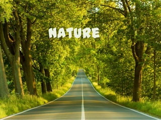 Nature
 