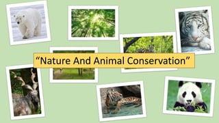 “Nature And Animal Conservation”
 