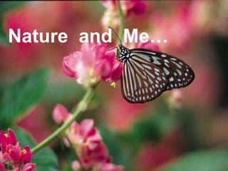 Nature  and  Me… 