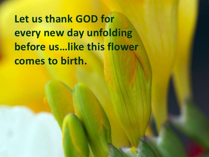 nature is jesus 's gift essays nature will be our god ersus treat essays