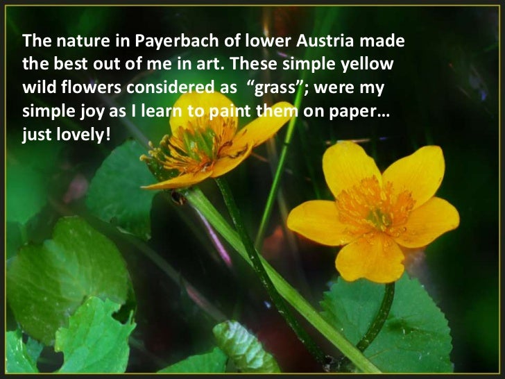 Nature gift of god quotes image