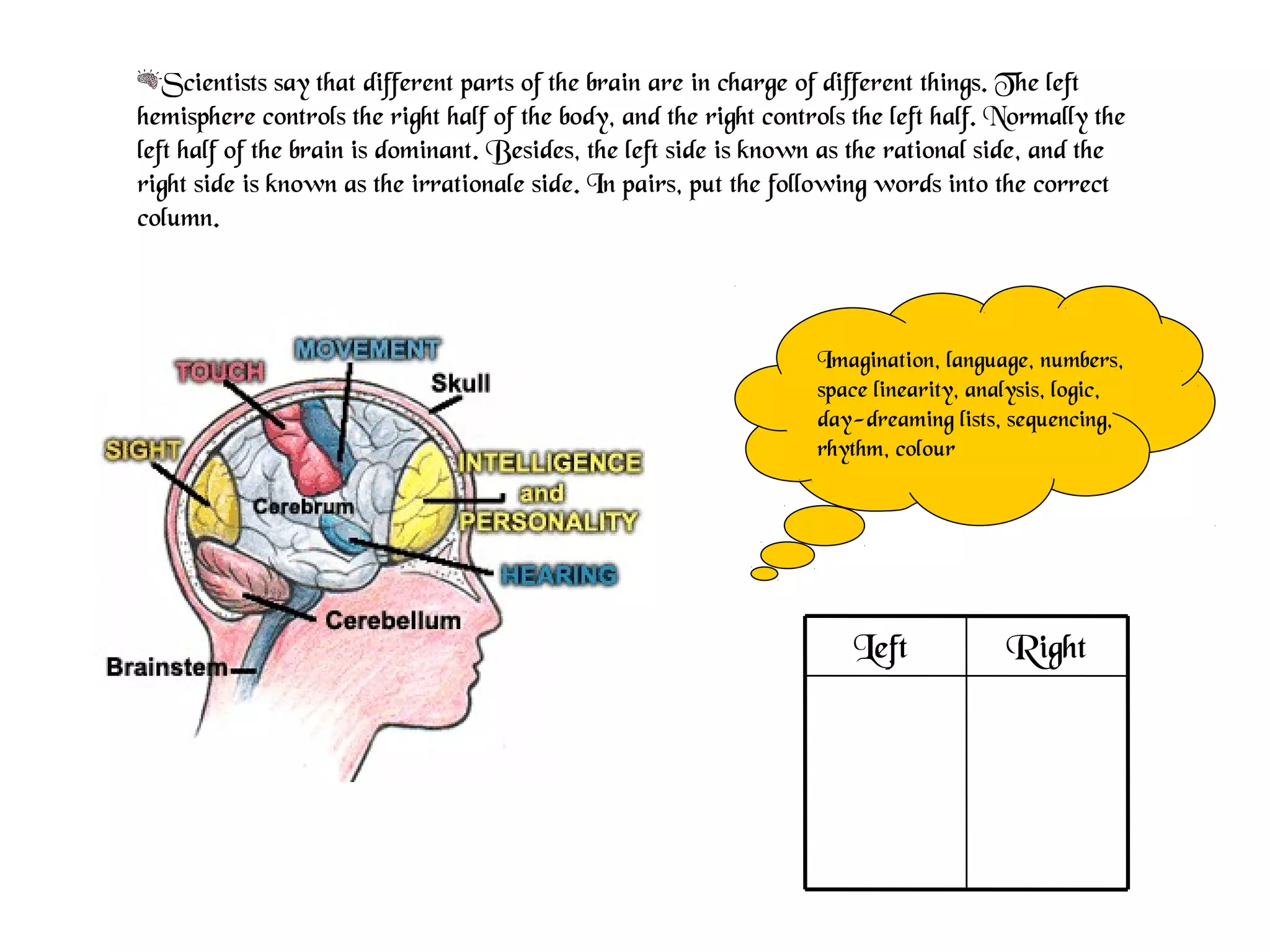 Scientists say that different parts of the brain are in charge of different things. The left
hemisphere controls the right half of the body, and the right controls the left half. Normally the
left half of the brain is dominant. Besides, the left side is known as the rational side, and the
right side is known as the irrationale side. In pairs, put the following words into the correct
column.
Imagination, language, numbers,
space linearity, analysis, logic,
day-dreaming lists, sequencing,
rhythm, colour
RightLeft
 