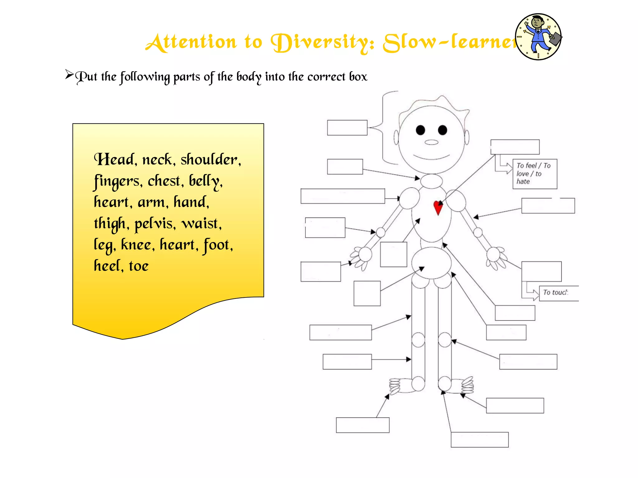 Attention to Diversity: Slow-learners
Put the following parts of the body into the correct box
Head, neck, shoulder,
fingers, chest, belly,
heart, arm, hand,
thigh, pelvis, waist,
leg, knee, heart, foot,
heel, toe
 
