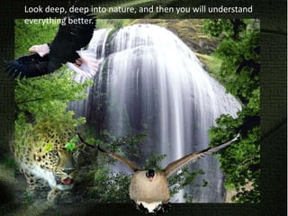 Look deep, deep into nature, and then you will understand everything better.